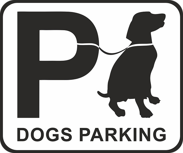 parking dla psa